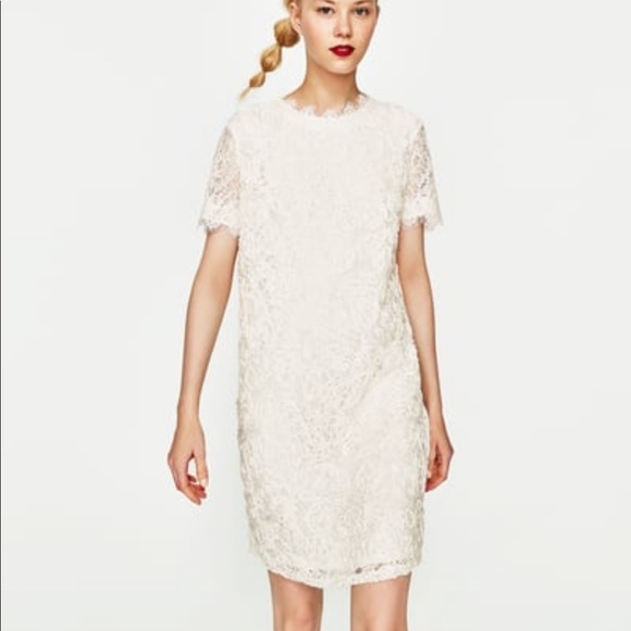 Zara Dresses & Skirts - Zara Lace Contrast Dress
